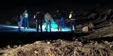 La Joya: Policía desbarata centro de cultivo de marihuana y detiene a dos personas en operativo