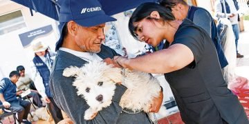 Anuncian jornadas de vacunación canina contra la rabia en La Joya para el 29 y 30 de noviembre