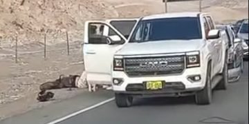 Múltiple choque en la Panamericana Sur deja un herido